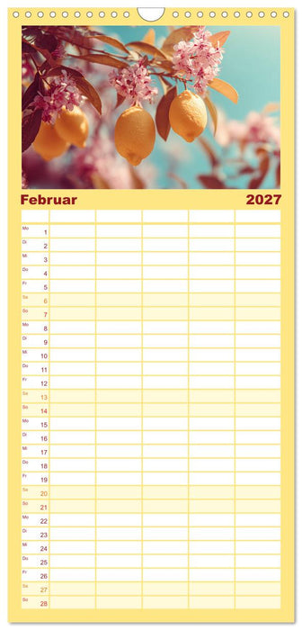 Mediterrane Zitronenträume (CALVENDO Familienplaner 2027)