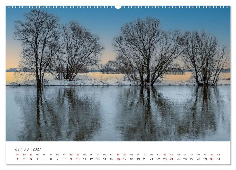 Bäume - Gelebtes Leben (CALVENDO Premium Wandkalender 2027)