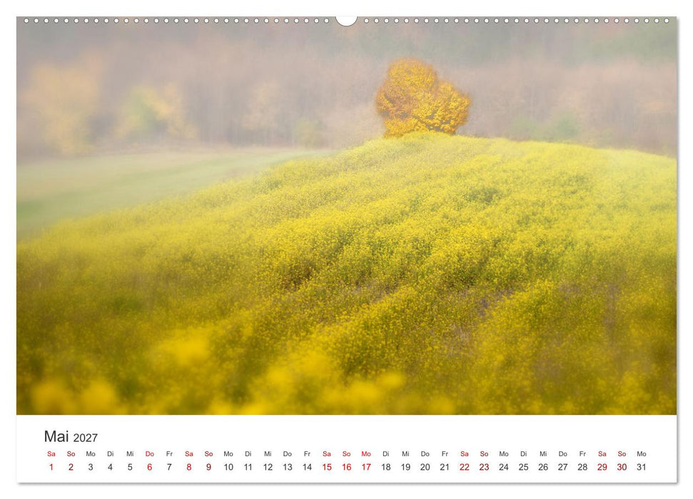 Bäume - Gelebtes Leben (CALVENDO Premium Wandkalender 2027)