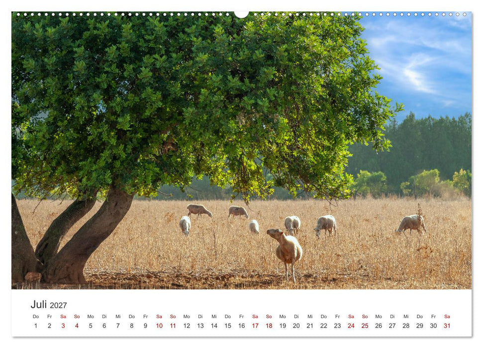 Bäume - Gelebtes Leben (CALVENDO Premium Wandkalender 2027)