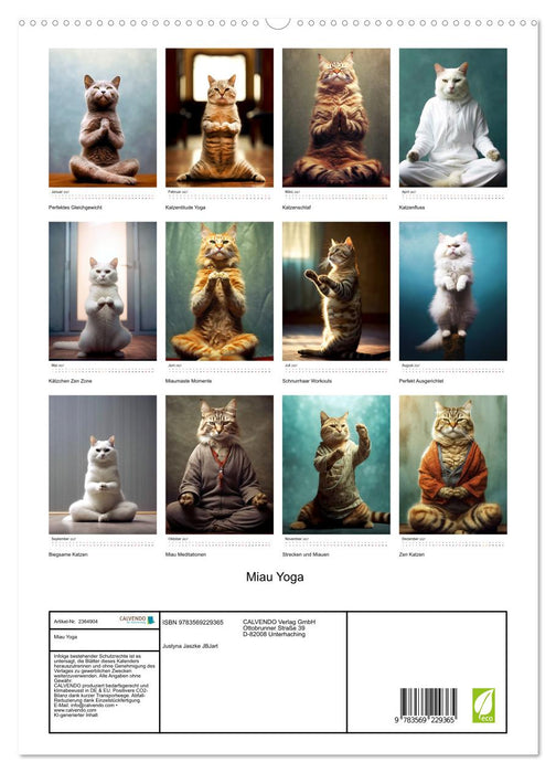 Miau Yoga (CALVENDO Premium Wandkalender 2027)