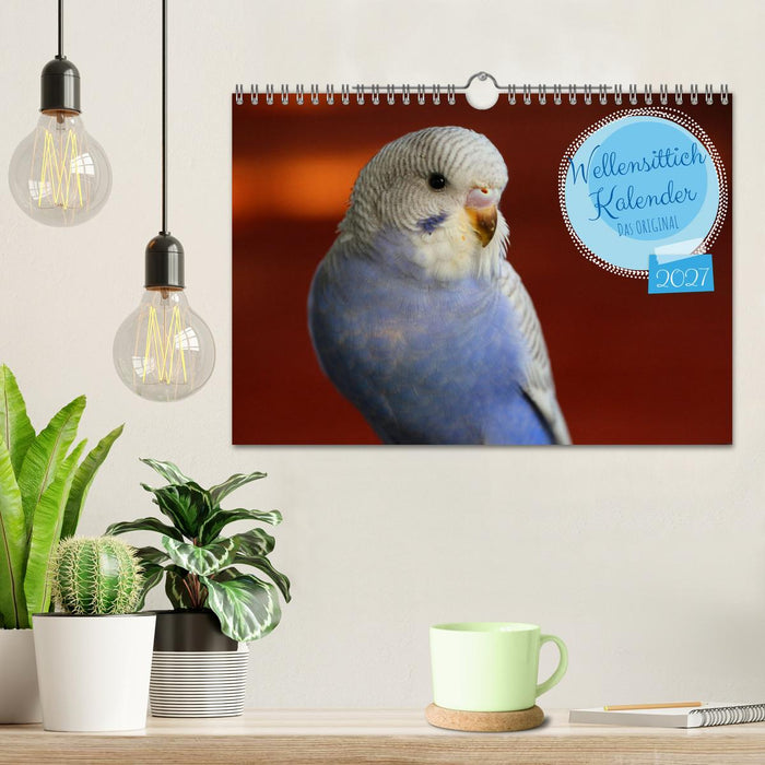 Wellensittichkalender! - Das Original (CALVENDO Wandkalender 2027)