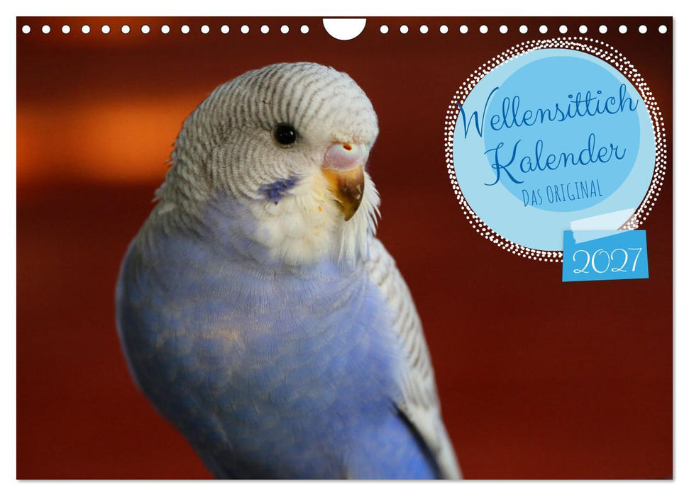 Wellensittichkalender! - Das Original (CALVENDO Wandkalender 2027)