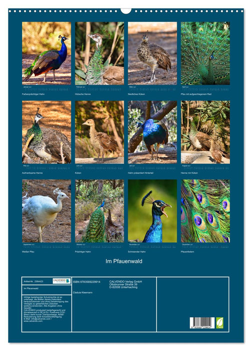 Im Pfauenwald (CALVENDO Wandkalender 2027)