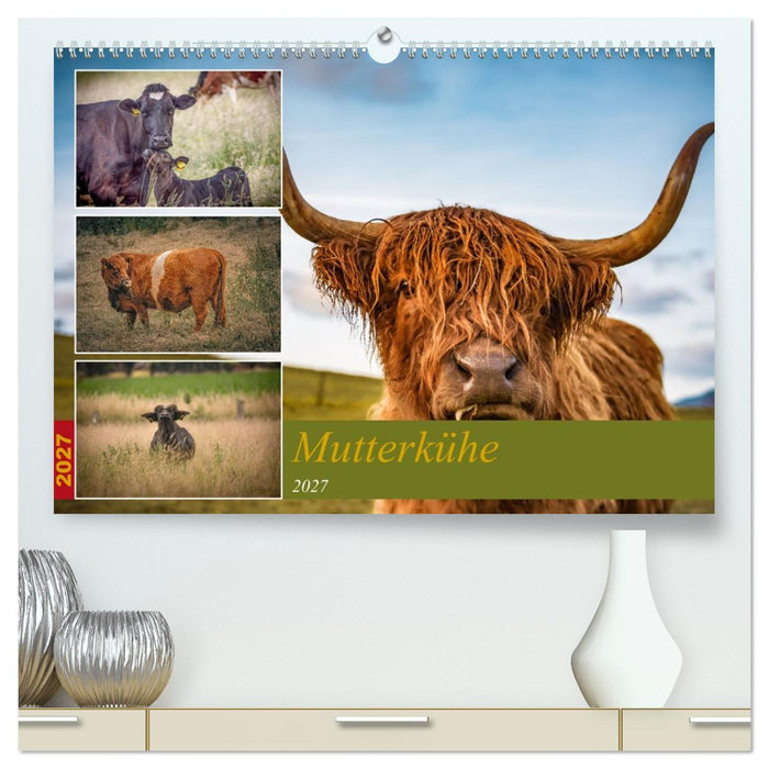 Mutterkühe (CALVENDO Premium Wandkalender 2027)
