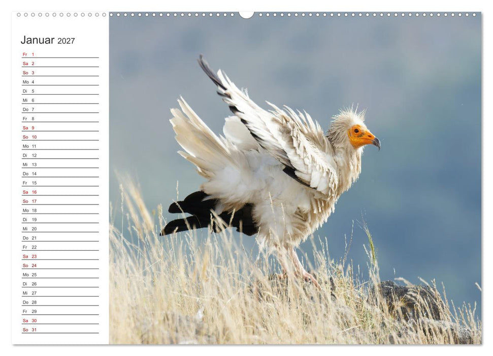 Faszinierendes Bulgarien (CALVENDO Wandkalender 2027)