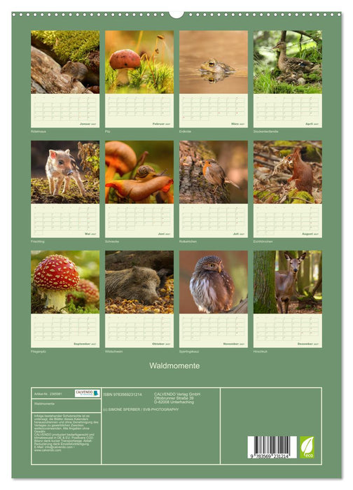 Waldmomente (CALVENDO Premium Wandkalender 2027)
