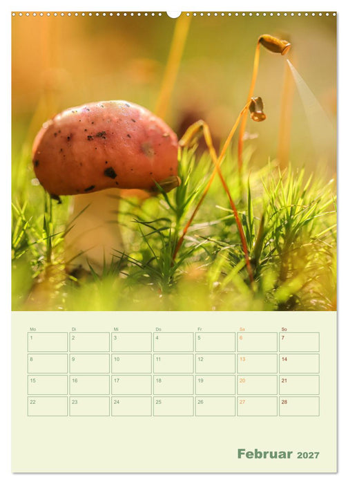 Waldmomente (CALVENDO Premium Wandkalender 2027)