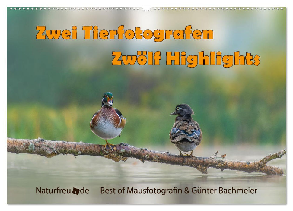Zwei Tierfotografen Zwölf Highlights (CALVENDO Wandkalender 2027)