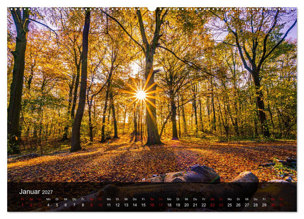 Wundervolle Naturlandschaften (CALVENDO Premium Wandkalender 2027)