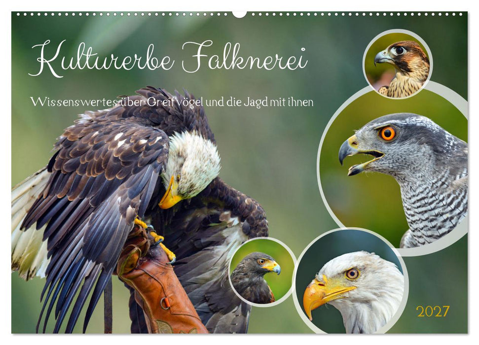 Kulturerbe Falknerei (CALVENDO Wandkalender 2027)