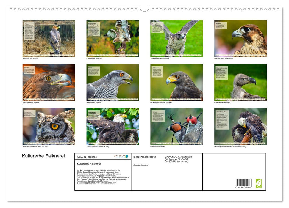 Kulturerbe Falknerei (CALVENDO Wandkalender 2027)