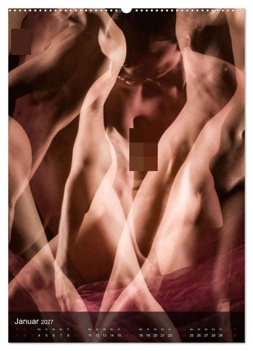 Sanfte Momente (CALVENDO Premium Wandkalender 2027)
