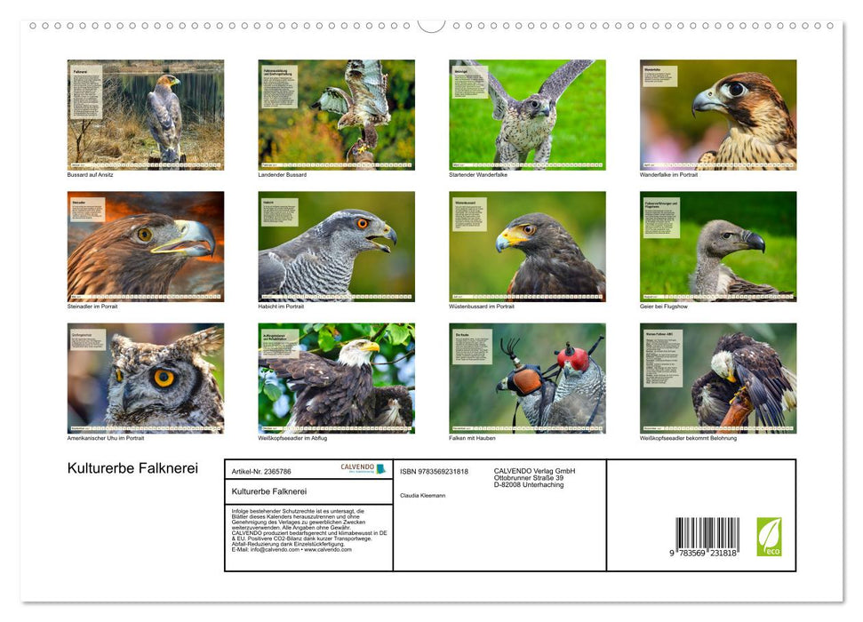 Kulturerbe Falknerei (CALVENDO Premium Wandkalender 2027)