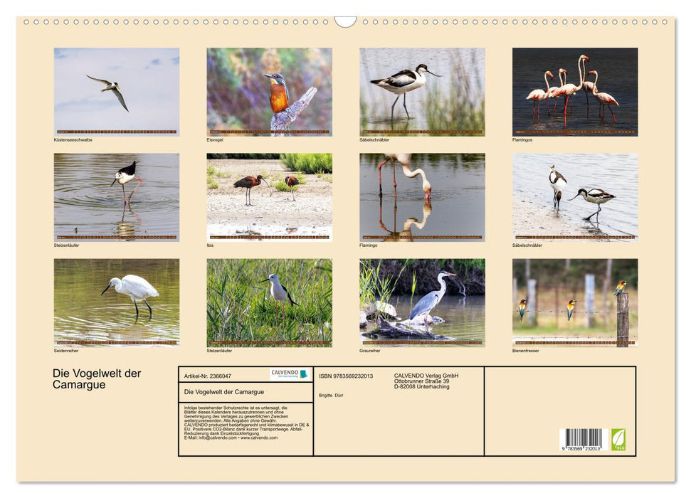Die Vogelwelt der Camargue (CALVENDO Wandkalender 2027)