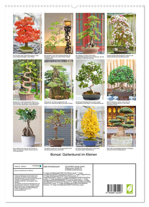 Bonsai: Gartenkunst im Kleinen (CALVENDO Premium Wandkalender 2027)
