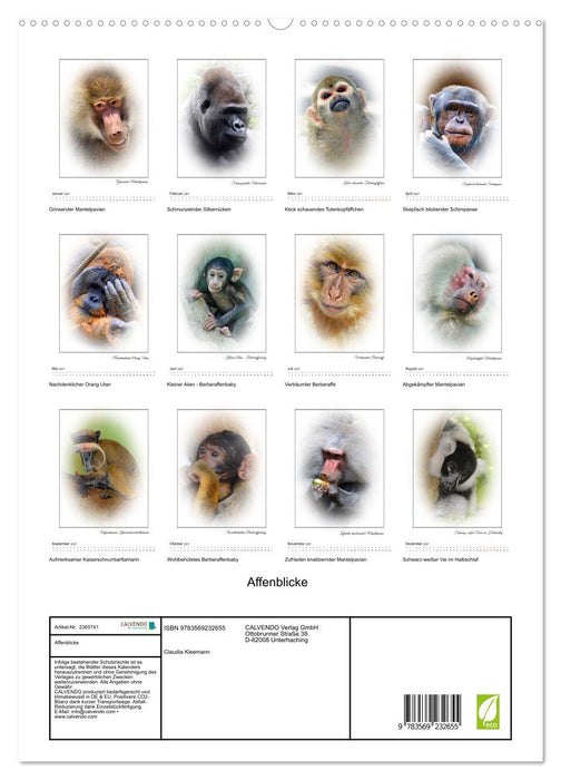 Affenblicke (CALVENDO Premium Wandkalender 2027)