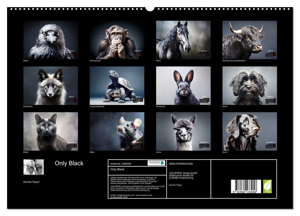 Only Black (CALVENDO Premium Wandkalender 2027)