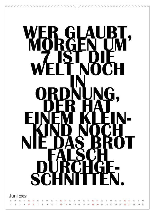 Und täglich grüßt die Hausarbeit (CALVENDO Premium Wandkalender 2027)