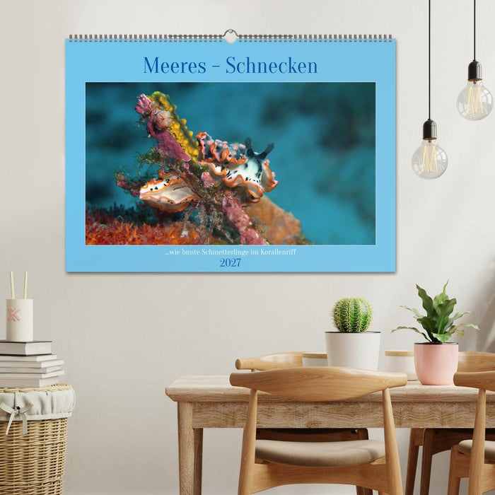 Meeres-Schnecken (CALVENDO Wandkalender 2027)