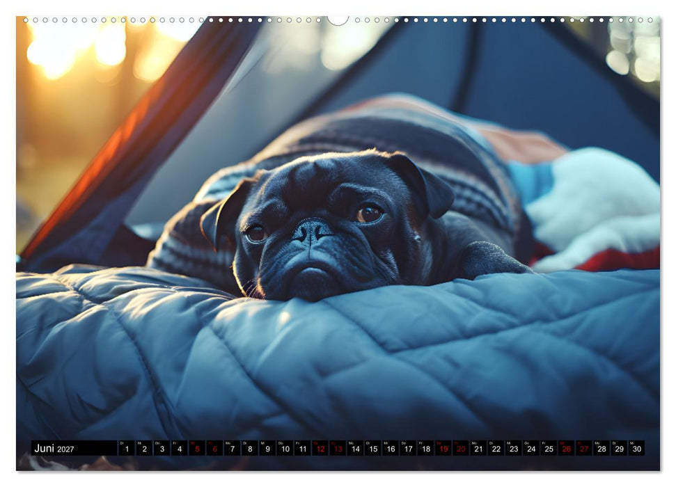 Kleine Helden - eine Hommage an die Mopsrasse (CALVENDO Premium Wandkalender 2027)