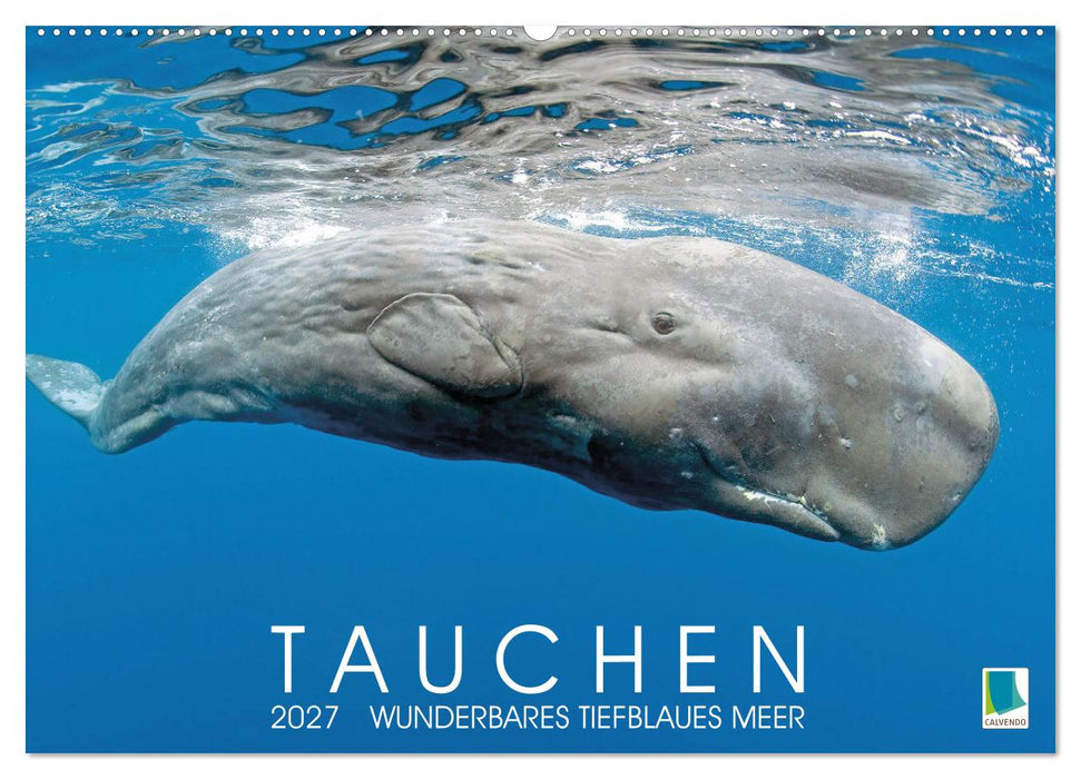 Tauchen: Wunderbares tiefblaues Meer (CALVENDO Wandkalender 2027)
