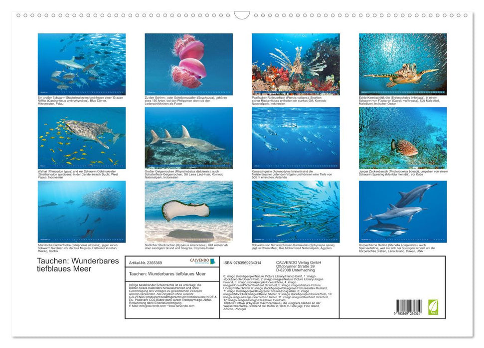Tauchen: Wunderbares tiefblaues Meer (CALVENDO Wandkalender 2027)