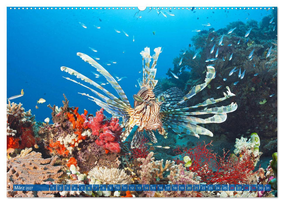 Tauchen: Wunderbares tiefblaues Meer (CALVENDO Wandkalender 2027)