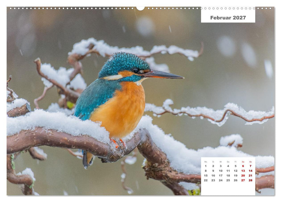 Zwei Tierfotografen Zwölf Highlights (CALVENDO Premium Wandkalender 2027)