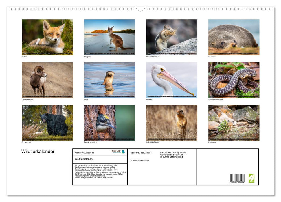 Wildtierkalender (CALVENDO Wandkalender 2027)