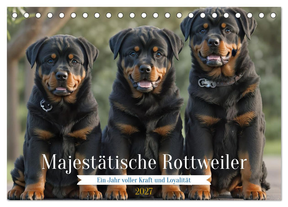 Majestätische Rottweiler: Ein Jahr voller Kraft und Loyalität (CALVENDO Wandkalender 2027)