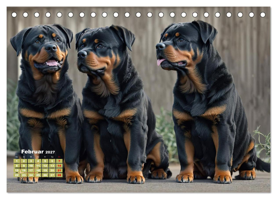 Majestätische Rottweiler: Ein Jahr voller Kraft und Loyalität (CALVENDO Wandkalender 2027)