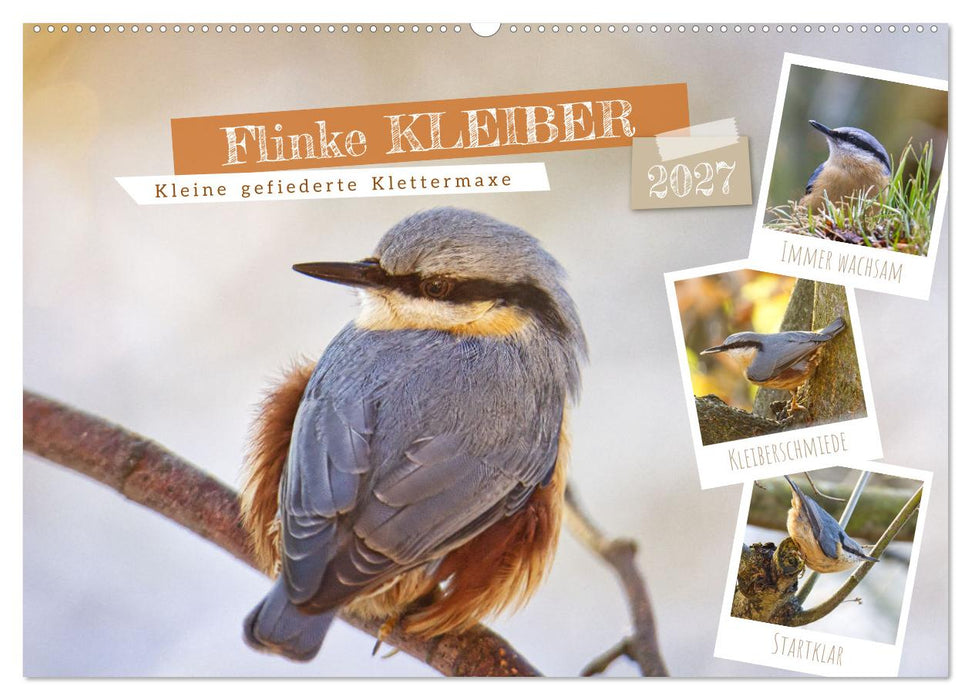 Flinke Kleiber (CALVENDO Wandkalender 2027)