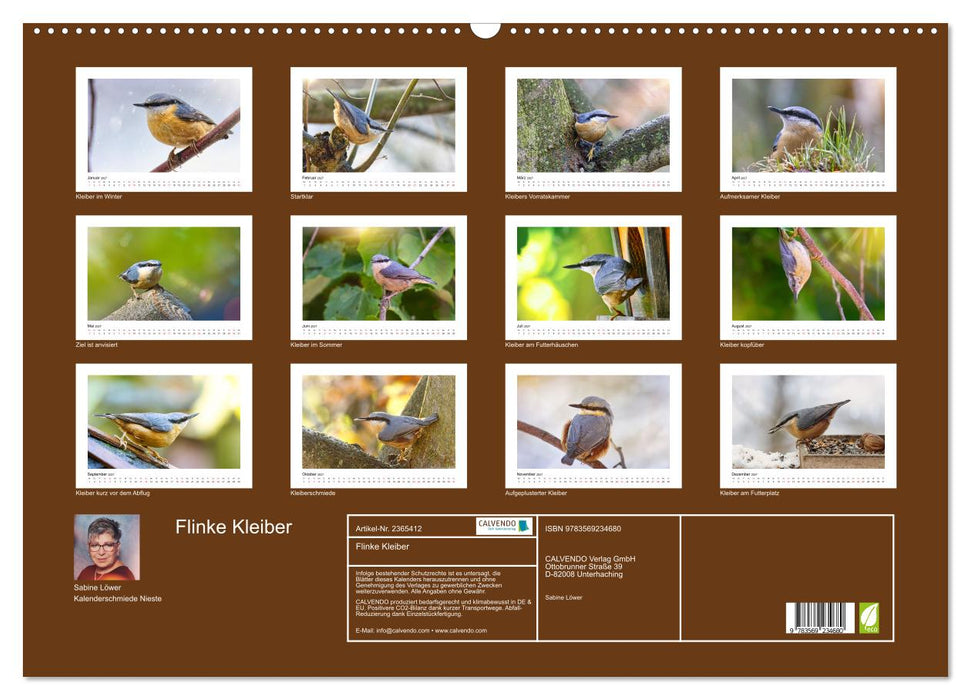 Flinke Kleiber (CALVENDO Wandkalender 2027)