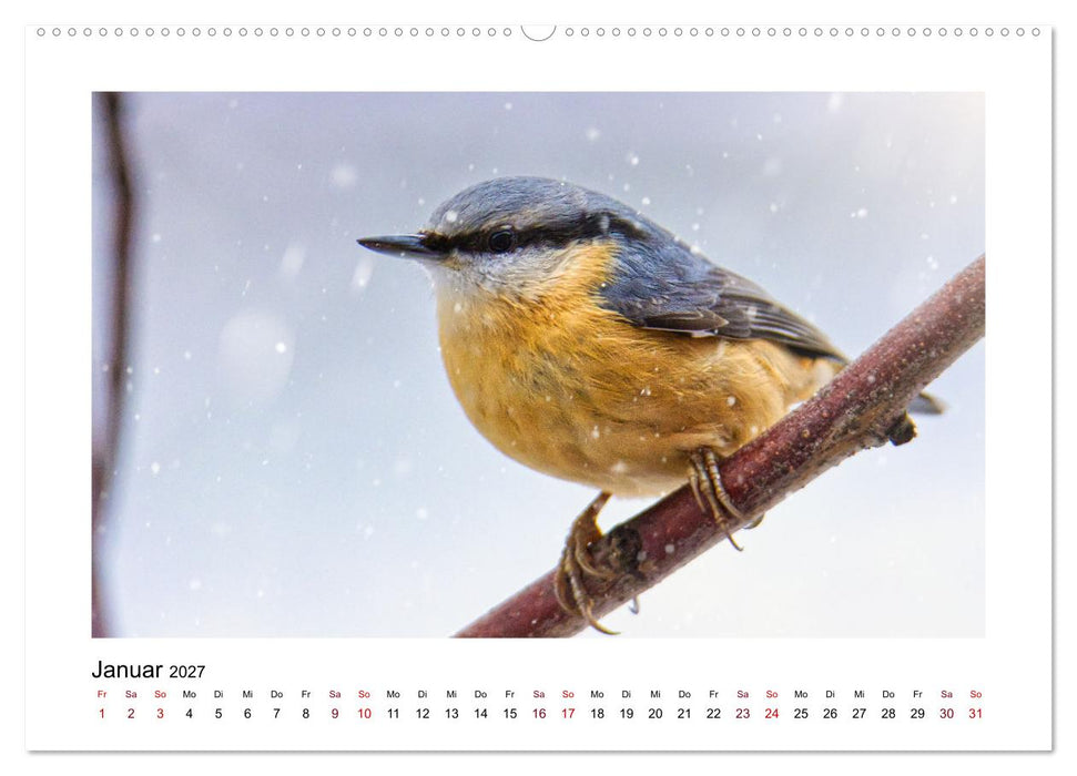 Flinke Kleiber (CALVENDO Wandkalender 2027)