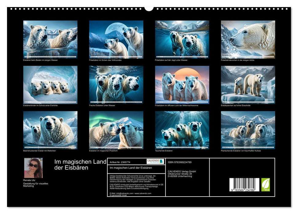 Im magischen Land der Eisbären (CALVENDO Premium Wandkalender 2027)