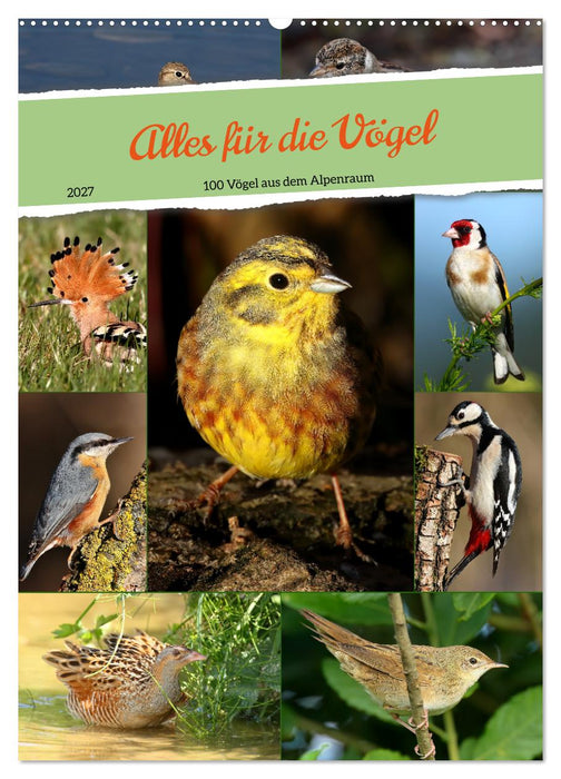 Alles für die Vögel (CALVENDO Wandkalender 2027)