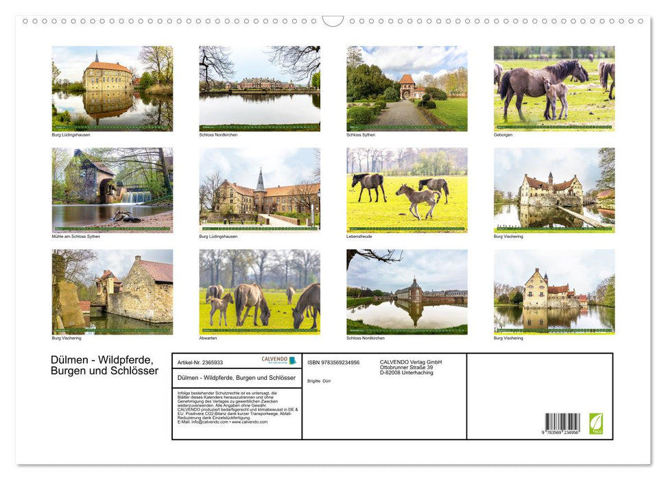 Dülmen - Wildpferde, Burgen und Schlösser (CALVENDO Wandkalender 2027)