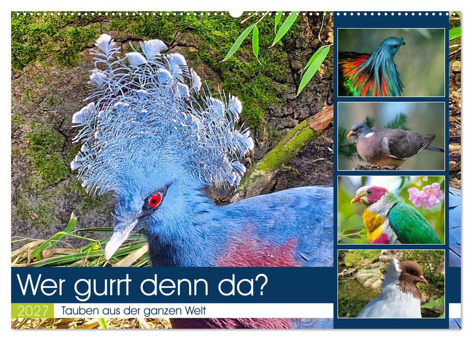 Wer gurrt denn da? (CALVENDO Wandkalender 2027)
