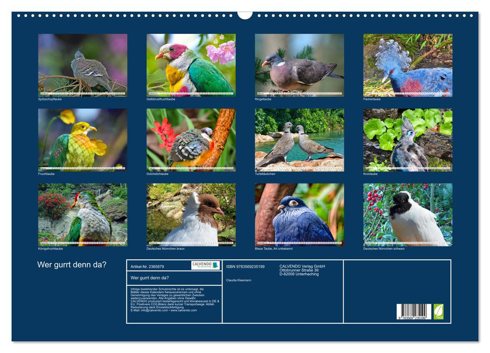 Wer gurrt denn da? (CALVENDO Wandkalender 2027)
