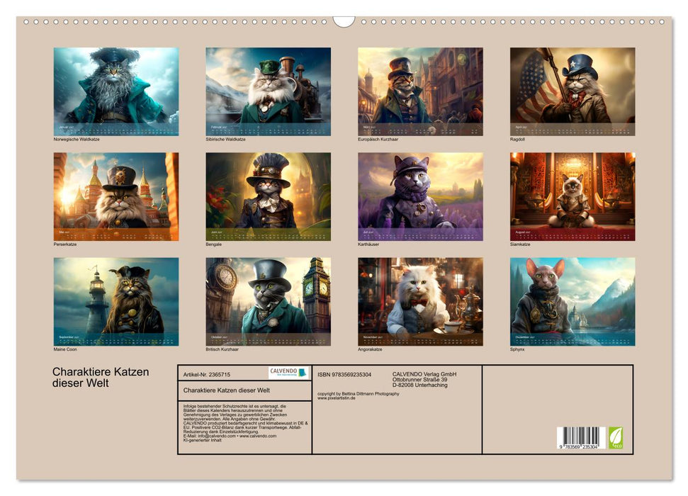 Charaktiere Katzen dieser Welt (CALVENDO Wandkalender 2027)