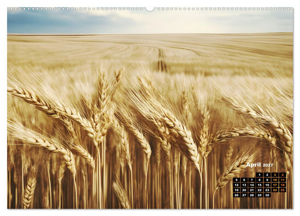 Von oben betrachtet Landschaften aus der Vogelperspektive (CALVENDO Wandkalender 2027)