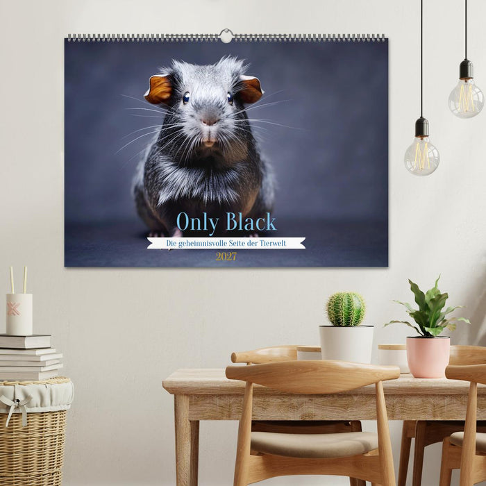 Only Black (CALVENDO Wandkalender 2027)