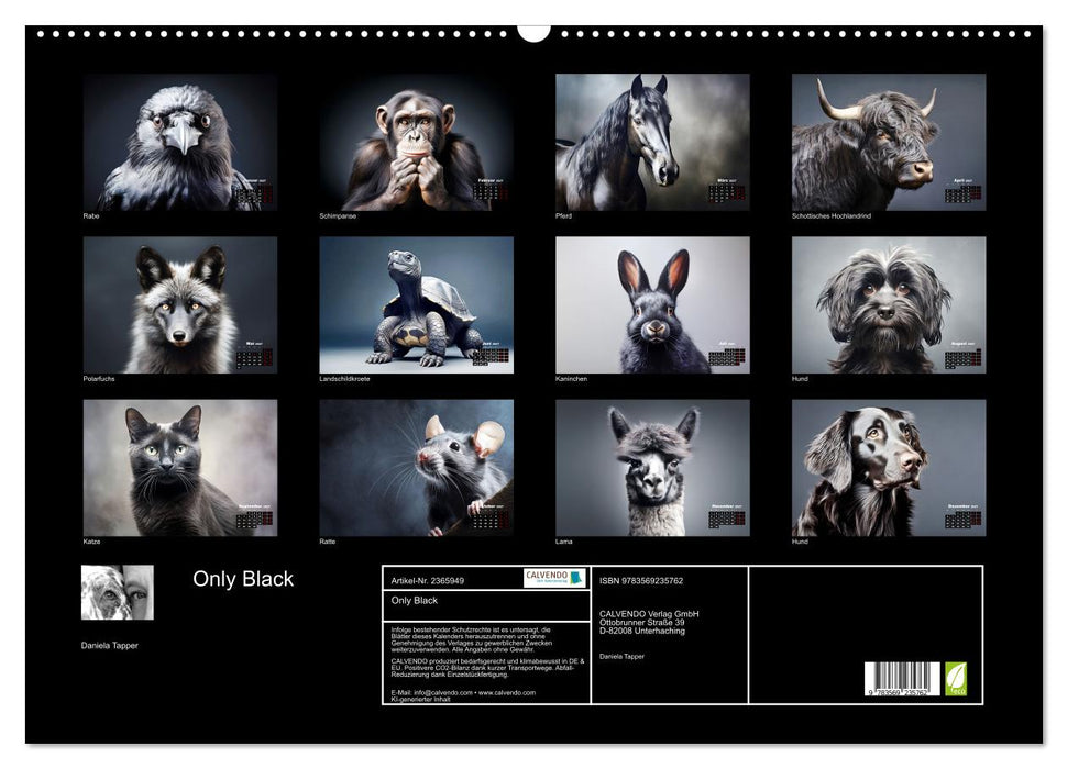 Only Black (CALVENDO Wandkalender 2027)