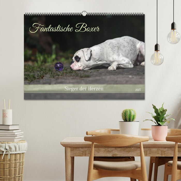 Fantastische Boxer - Sieger der Herzen (CALVENDO Wandkalender 2027)
