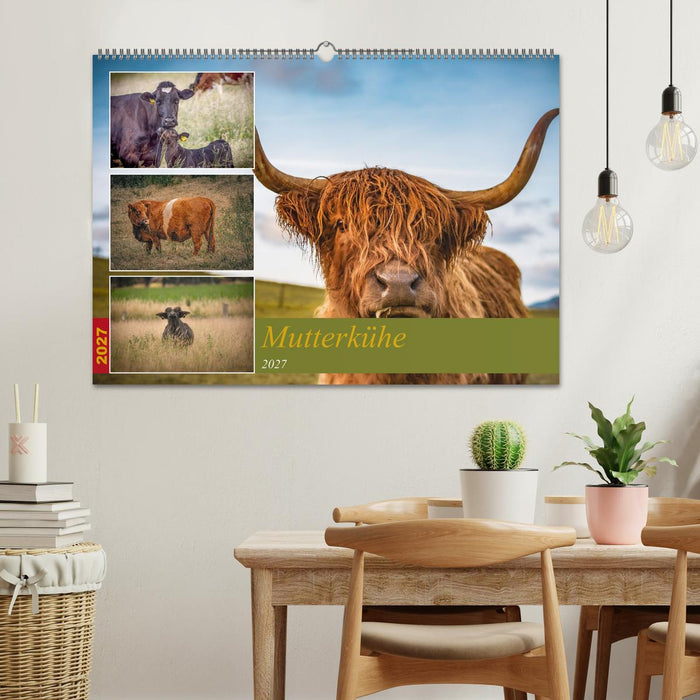 Mutterkühe (CALVENDO Wandkalender 2027)