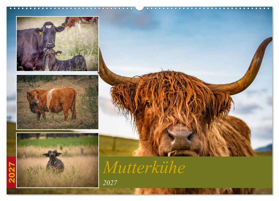 Mutterkühe (CALVENDO Wandkalender 2027)