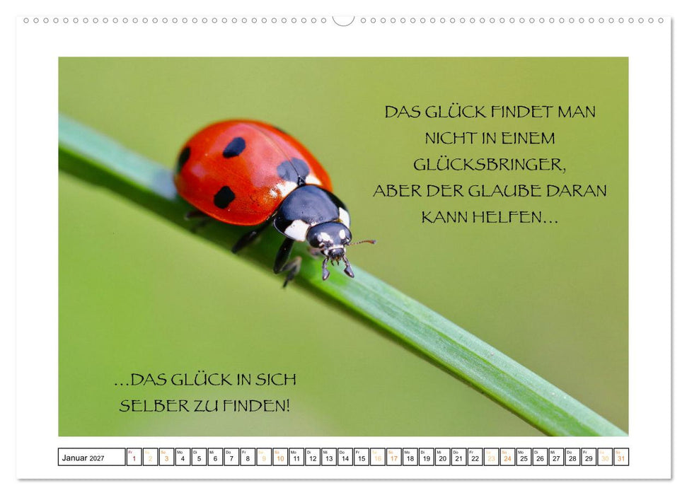 Spruch verliebt (CALVENDO Wandkalender 2027)