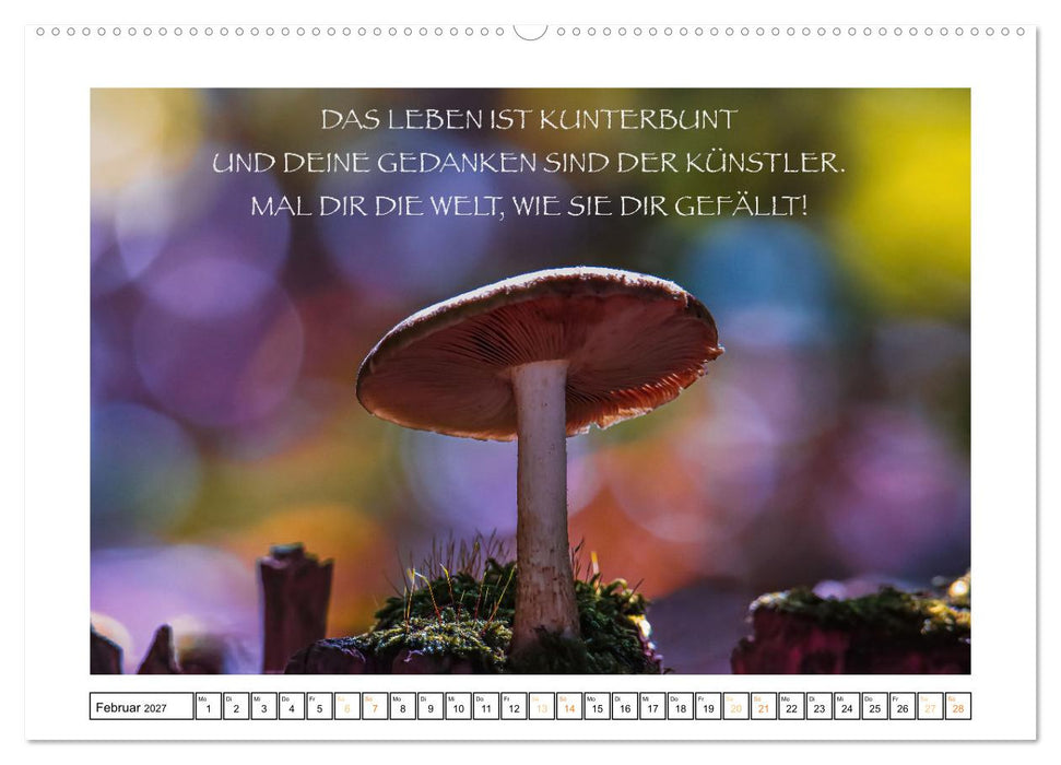 Spruch verliebt (CALVENDO Wandkalender 2027)