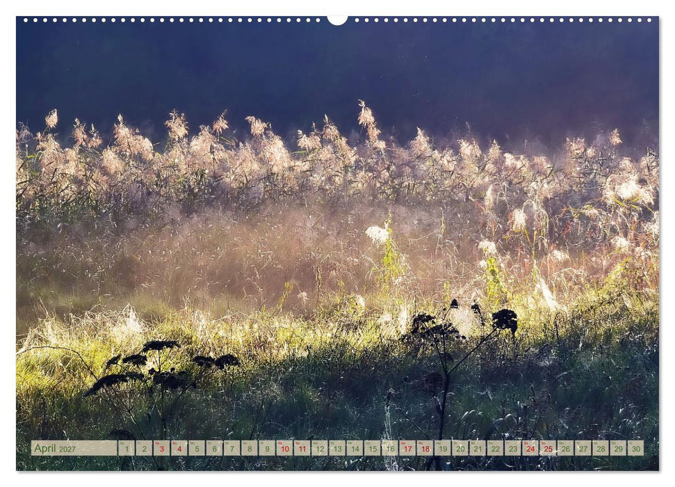 Morgenglühen & Nebelschimmer (CALVENDO Premium Wandkalender 2027)